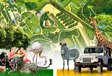 אגם גארדה - פארק נאטורה ויווה